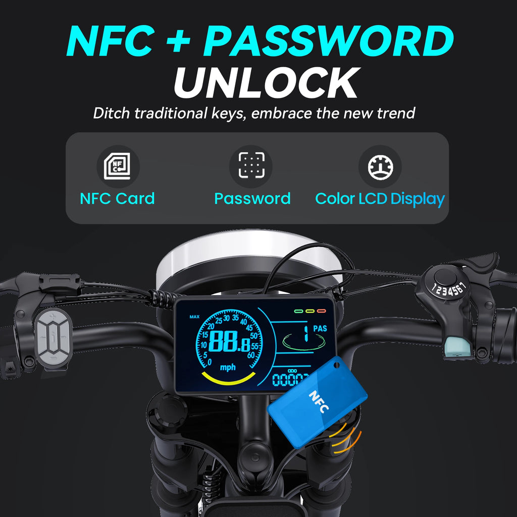 DTTZH F6S 20-Inch Fat Tire Electric Bike