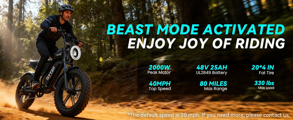 DTTZH F6S 20-Inch Fat Tire Electric Bike