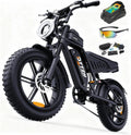 DTTZH F6S 20-Inch Fat Tire Electric Bike