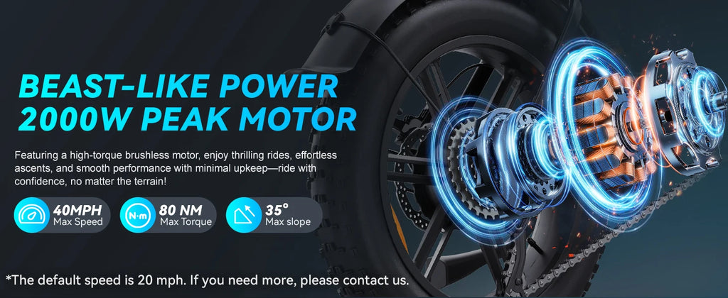 DTTZH F6S 20-Inch Fat Tire Electric Bike