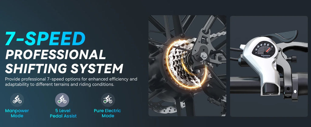 DTTZH F6S 20-Inch Fat Tire Electric Bike