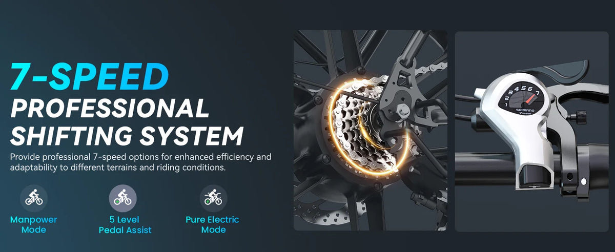 DTTZH F6S 20-Inch Fat Tire Electric Bike