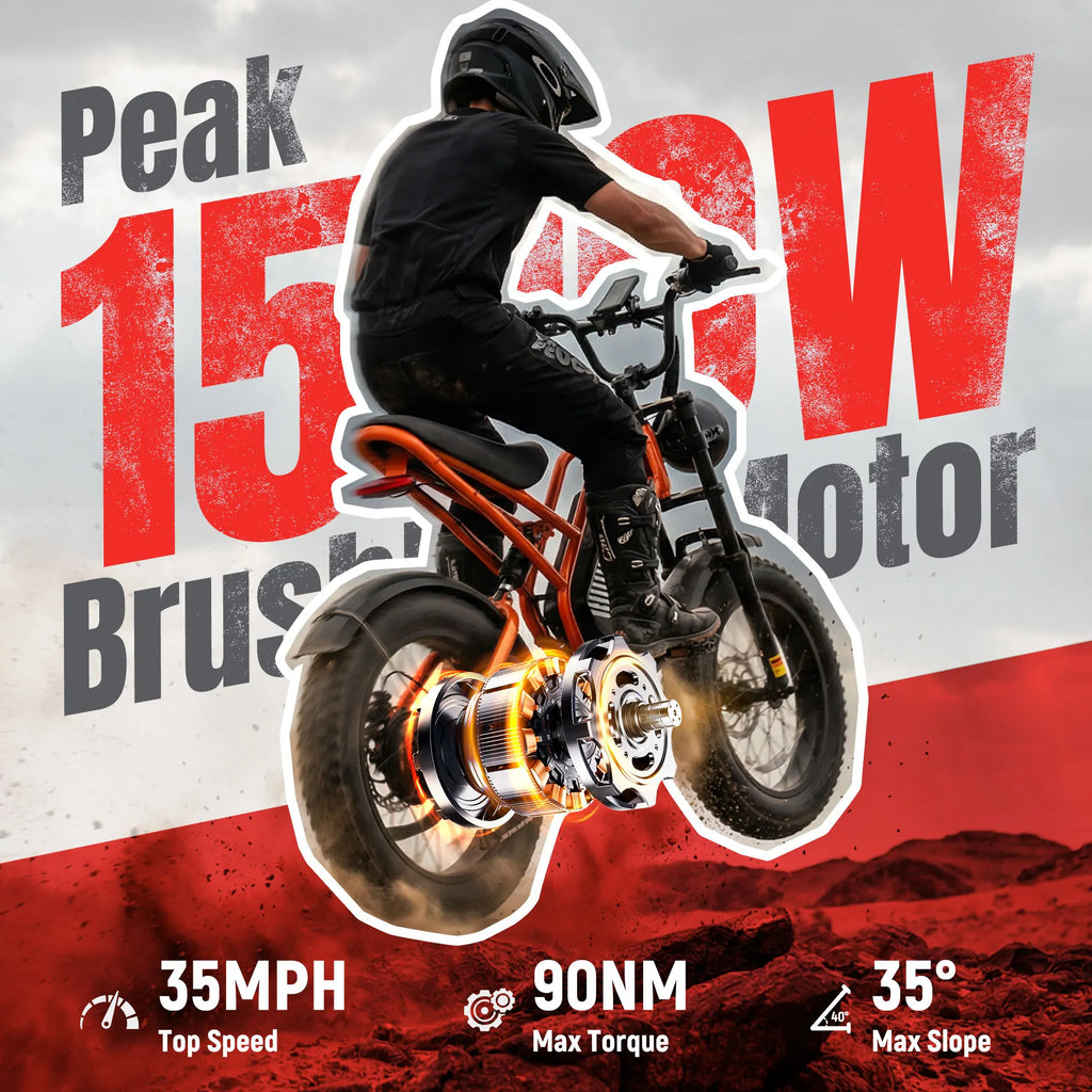 ESKUTE V300 20-Inch Fat Tire Electric Bike