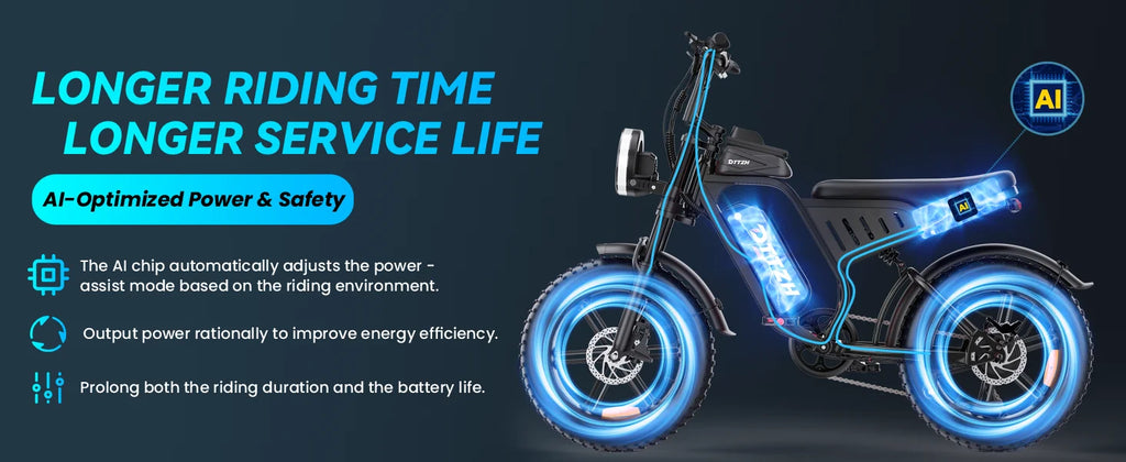DTTZH F6S 20-Inch Fat Tire Electric Bike