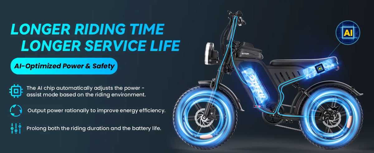 DTTZH F6S 20-Inch Fat Tire Electric Bike